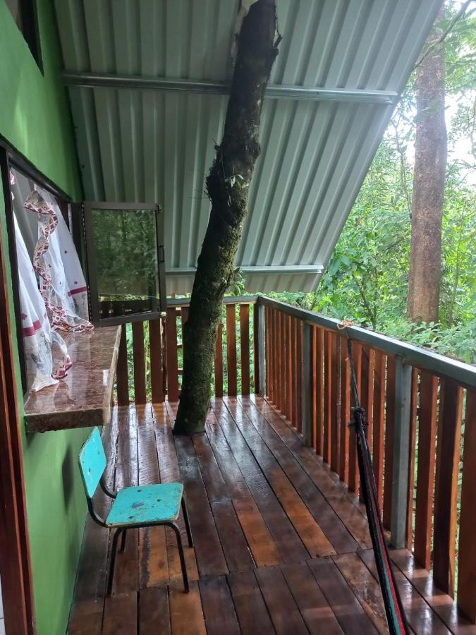 Cabana Escondida Rio Celeste San Rafael De Guatuso Exterior photo